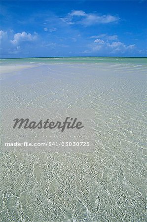 Beach, Andros, Bahamas, Central America Beach, Andros, Bahamas, Central America