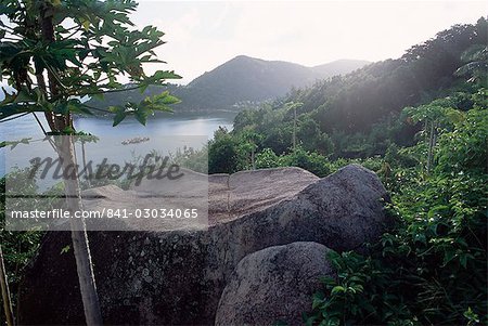 Chateau de Feuilles, Anse de Marie Louise, south coast, island of Praslin, Seychelles, Indian Ocean, Africa