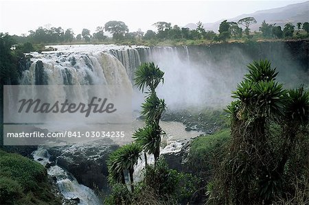 Blue Nile Falls,near Lake Tana,Gondar region,Ethiopia,Africa