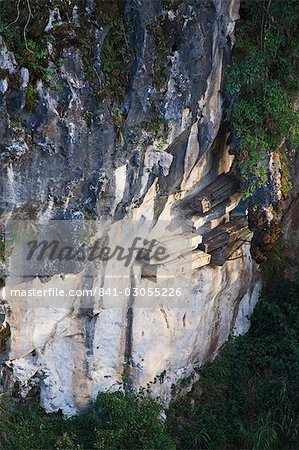 Hanging coffins of Animistic Applai elders entombed on limestone cliffs, Sagada Town, The Cordillera Mountains, Benguet Province, Luzon, Philippines, Southeast Asia, Asia