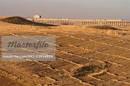 Archaelogical site, Apamea (Qalat at al-Mudiq), Syria, Middle East