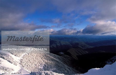 Landscape of snow-covered snow gums, mountainsand clouds, seen from Mount Buller, High Country, Victoria, Australia, Pacific