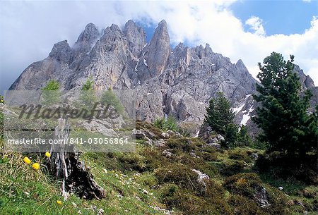 Sassolungo range, 3181m, Val Gardena, Dolomites, Alto Adige, Italy, Europe