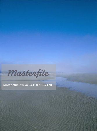 Beach and sea mist, Queen Charlotte Island, British Columbia (B.C.), Canada, North America