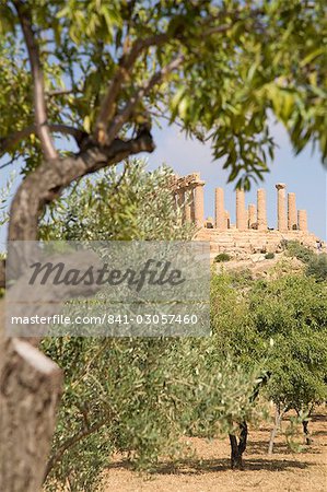 Olive and almond trees and the Temple of Juno, Valley of the Temples, Agrigento, UNESCO World Heritage Site, Sicily, Italy, Europe