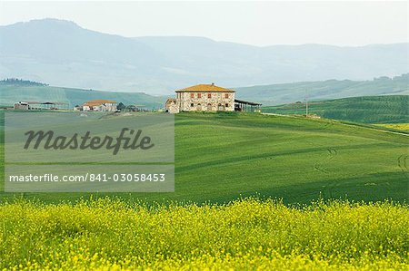 Countryside near San Quirico d'Orcia, Val d'Orcia, Siena province, Tuscany, Italy, Europe