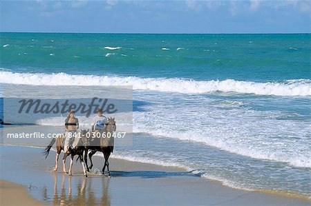 Couple riding horses on the beach, Tibau do Sul, Natal, Rio Grande do Norte state, Brazil, South America