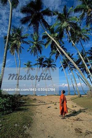 Buddhist monk looking up at palm trees between Unawatuna and Weligama, Sri Lanka, Asia