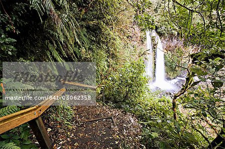 Dawson Falls, Egmont National Park, Taranaki, North Island, New Zealand, Pacific