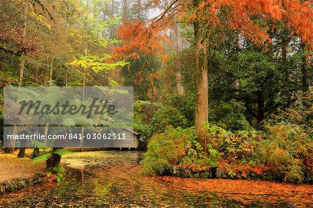 The boathouse, Alfred Nicholas Gardens, Dandenong Ranges, Victoria, Australia, Pacific