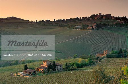 Sunset over vineyards near Panzano in Chianti, Chianti, Tuscany, Italy, Europe