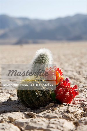 The Racetrack Point, Death Valley National Park, California, United States of America, North America