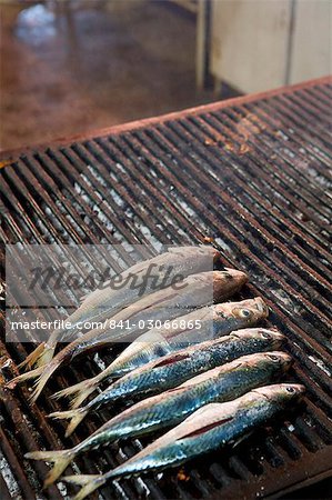 Mackerel on grill, street market, Palermo, Sicily, Italy, Europe