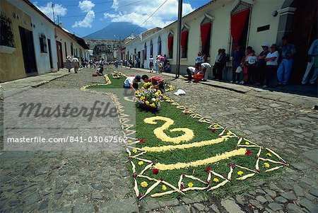 Carpet of plants and flowers being laid on a street for one of the Easter processions, Antigua, Guatemala, Central America