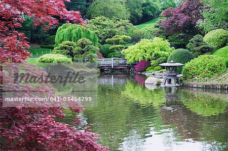 Japanese garden, Brooklyn Botanical Garden, Brooklyn, New York City, New York, United States of America, North America