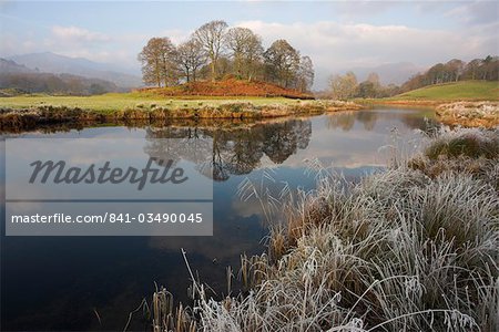 River Brathay in winter, near Elterwater, Lake District, Cumbria, England, United Kingdom, Europe