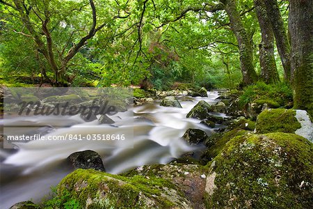 Rocky River Plym near Shaugh Prior in Dartmoor National Park, Devon, England, United Kingdom, Europe