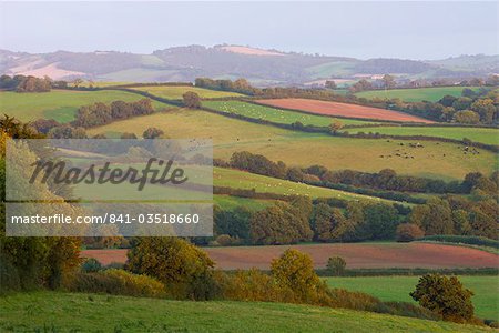 Patchwork fields in countryside near Crediton, Devon, England, United Kingdom, Europe