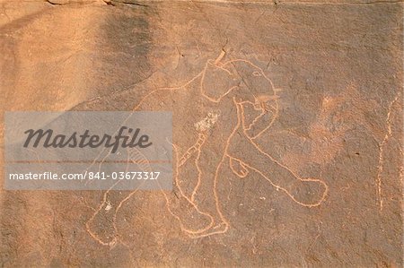 Elephant, primitive rock carving, Akakus, Sahara desert, Fezzan, Libya, North Africa, Africa Elephant, primitive rock carving, Akakus, Sahara desert, Fezzan, Libya, North Africa, Africa