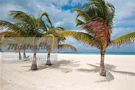 Isla Pasion (Passion Island) off Isla de Cozumel, Cozumel, Mexico, North America Isla Pasion (Passion Island) off Isla de Cozumel, Cozumel, Mexico, North America