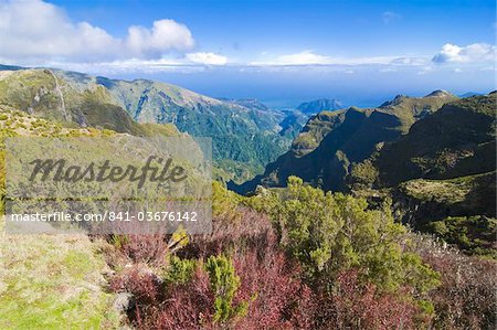 Pico de Ariero, Madeira, Portugal, Europe Pico de Ariero, Madeira, Portugal, Europe