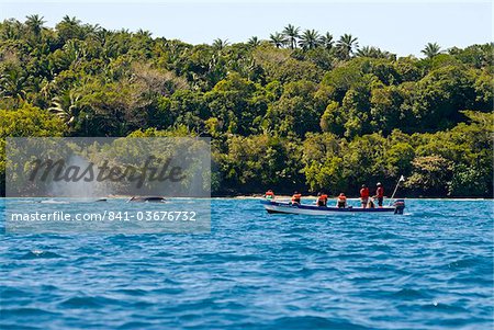 Tourists watching a humpback whale (Megaptera novaeangliae), Ile Sainte Marie, Madagascar, Indian Ocean, Africa