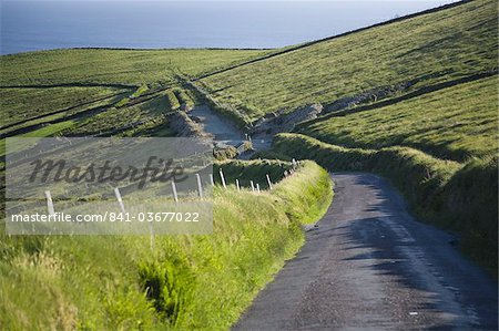 Narrow roads passing through the verdant Irish countryside in County Kerry, Munster, Republic of Ireland, Europe