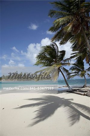 Sandy beach and palm trees on Dog Island, San Blas Islands, Panama, Central America Sandy beach and palm trees on Dog Island, San Blas Islands, Panama, Central America