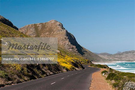 Empty road to Cape of Good Hope, Cape Town, South Africa, Africa