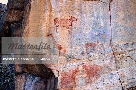 Rock art, Tsodilo Hills, UNESCO World Heritage Site, Ngamiland, Botswana, Africa