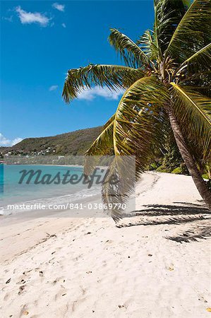 Friendship Bay beach, Bequia, St. Vincent and The Grenadines, Windward Islands, West Indies, Caribbean, Central America