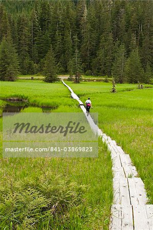 Hiking in the Ideal Cove area of Southeast Alaska, Alaska, United States of America, North America