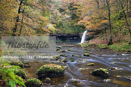 Sgwd Gwladus waterfall surrounded by autumnal foliage, near Ystradfellte, Brecon Beacons National Park, Powys, Wales, United Kingdom, Europe