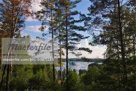 Lake behind trees at Aukstaitija National Park, Lithuania, Baltic States, Europe