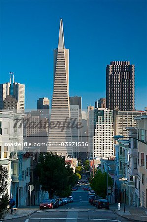 Downtown and TransAmerica Building from Telegraph Hill Historic District, San Francisco, California, United States of America, North America