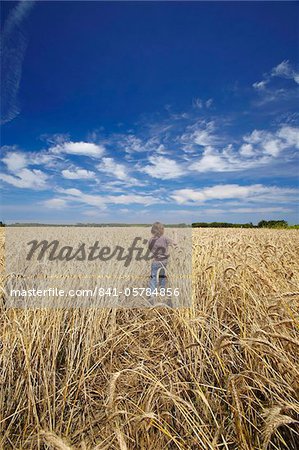 Boy running in wheat field, France, Europe