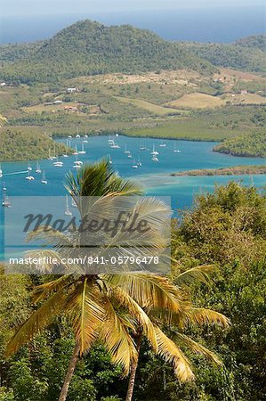 View over palm trees, Cul de Sac Du Marin, Martinique, French Overseas Department, Windward Islands, West Indies, Caribbean, Central America