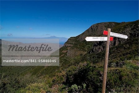 Parque Nacional de Garajonay, UNESCO World Heritage Site, Gomera, Canary Islands, Spain, Europe