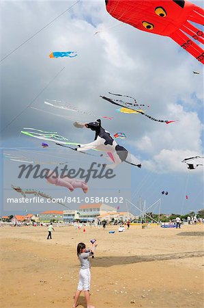 Kite festival, Charente Maritime, France, Europe