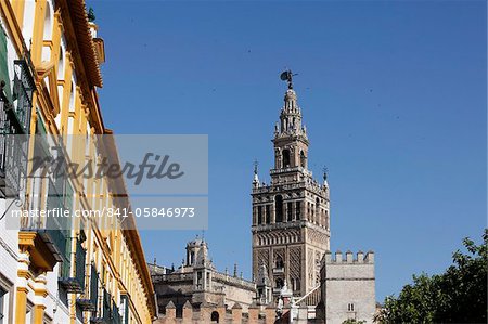 Giralda, the Seville cathedral bell tower, formerly a minaret, UNESCO World Heritage Site, Seville, Andalucia, Spain, Europe