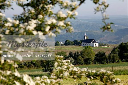 Spring landscape with little church near Nittel, Mosel-Valley, Rhineland-Palatinate, Germany, Europe