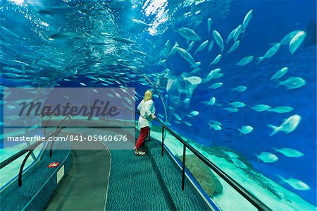 Female tourist at Ocean Aquarium, Shanghai, China, Asia