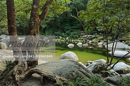 Mossman Gorge, Daintree National Park, UNESCO World Heritage Site, Queensland, Australia, Pacific