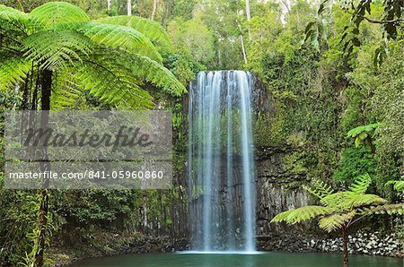 Millaa Millaa Falls, Atherton Tableland, Queensland, Australia, Pacific