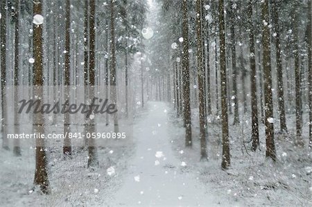 Winter landscape, near Villingen-Schwenningen, Black Forest, Baden-Wurttemberg, Germany, Europe