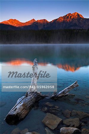 Frosted driftwood in the shallows of Patricia Lake at first light, Jasper National Park, UNESCO World Heritage Site, Alberta, Rocky Mountains, Canada, North America Frosted driftwood in the shallows of Patricia Lake at first light, Jasper National Park, UNESCO World Heritage Site, Alberta, Rocky Mountains, Canada, North America