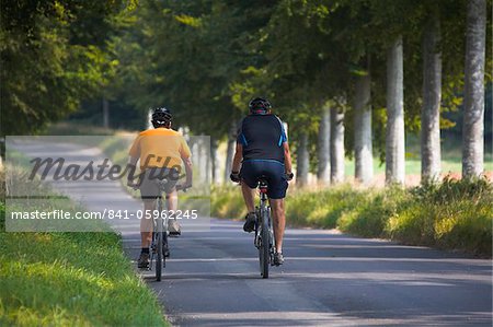 Cyclists on a country road near Moor Crichel, Dorset, England, United Kingdom, Europe