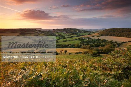Rolling Dorset countryside viewed from Golden Cap, Dorset, England, United Kingdom, Europe