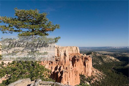 Paria View, Bryce Canyon National Park, Utah, United States of America, North America