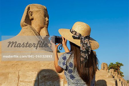 Tourist taking a photo on the Sphinx path, Temple of Luxor, Luxor, Thebes, UNESCO World Heritage Site, Egypt, North Africa, Africa